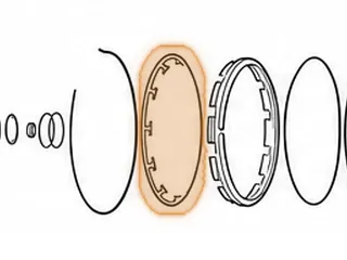 Spring, ZF9HP48 D Clutch Return (.069”Thick)(8 1/4”OD)(12 Fingers)(Dished) 2013-Up — Part # 339974B
