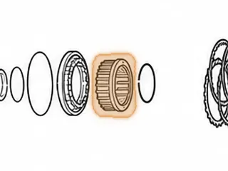Return Spring Set, A4AF3 Direct Clutch (23 Coil Springs)(2.535”ID) — Part # 42975L