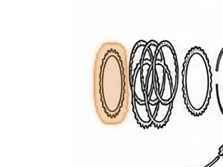 Apply Plate, KM170/KM171/KM172/KM175/KM177 Forward Clutch (Bottom) (.195”) (24 Teeth) (4.00”ID) (Beveled) 1979-88 — Part # 42149B