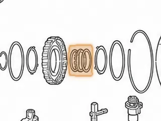 Sprag, A55 Intermediate (12 Elements) — Part # 157652