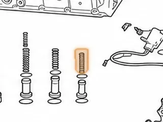 Accumulator Assembly, A960E (Plastic) (Piston-.715”ID x 2.070”Long) (Pink) (Spring-.635”OD x 2.560”Long)(2 O-Rings)… — Part # 267935A