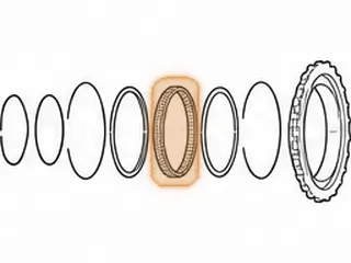 Sprag, AA80E (39 Elements) (.585"Thick) 2007-Up — Part # 287654A