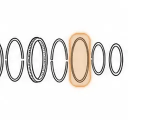 Race, 60-40LE Sprag To Front Ring Gear (Plastic) (.058” Thick) — Part # 121252A