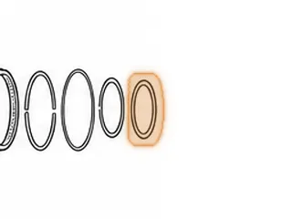 Race, 60-40LE Low / Reverse Sprag Inner Race Spacer Bearing (2.690”ID) — Part # 121254A