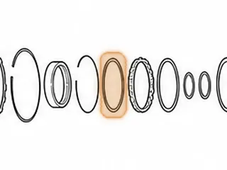 Sprag, AW55-51SN Low (20 Elements) (Plastic Cage) 2000-Up — Part # 21654B