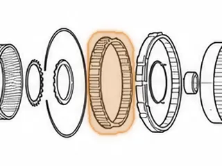 Sprag, TF-81SC Low/Reverse (20 Rollers, W/Plastic Cage, W/5 Brass Spacers)(6 7/8”OD) 2005-Up — Part # 255654A