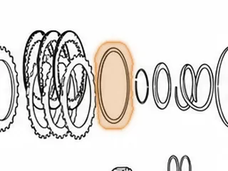 Cushion, MPZA 1st, 2nd, 3rd, 4th & 1st Hold Clutch — Part # 80850
