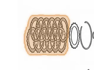 Friction, AS68RC (All) 1-2-3-4 (K1) Clutch (.081”)(48 Teeth)(5.820”OD)(High Energy) 2005-Up — Part # 172104A