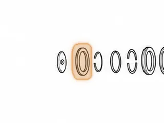 Roller Bearing, B6VA / BAXA / MAXA / M6HA Secondary Shaft To Bell Housing (.550” Thick) (SE-NK-34x46x14) — Part # 30238B