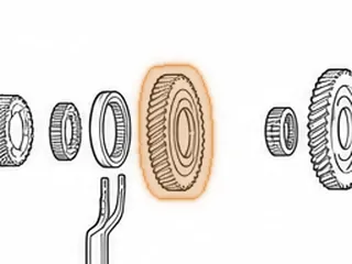 Gear, BAYA/BGFA/BVGA-5/BVGA-6/BVGA-7/BYBA/B7TA/B7VA/B7WA/B7XA/B7ZA/MFYA/ MGFA/MGHA/MGSA/M7WA/M7ZA Reverse… — Part # 30816A