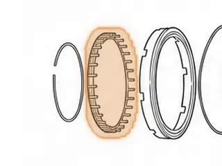 Retainer W/Springs, CD4E Low/Reverse Clutch — Part # 96977