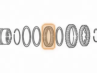 Sprag, CD4E Forward (.307” Wide Elements) 1998-Up (Metal Cage Is .540” Wide) — Part # 96656A