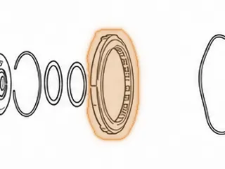 Sprag, F4E Low/Reverse With Outer Race (.605” Wide) — Part # 38642AA