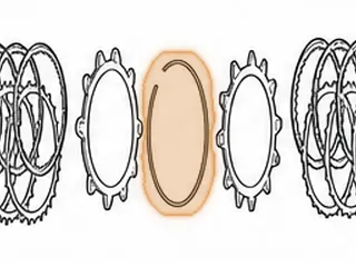 Snap Ring, FW6A-EL Holds 2-6 Clutch Pressure Plate In (.086" Thick)(7 3/8"OD) 2012-Up — Part # 238861A
