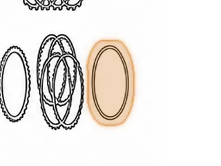 Cushion, G4A Coast Clutch — Part # 28856