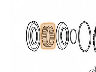 Return Spring, RE0F10D (JF016E) Forward Clutch (24 Springs)(.970”Thick)(3.918”OD) (3.255”ID) 2013-Up — Part # 333974A