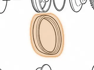 Belt, JF016E (RE0F10D) (CVT8) 2014-Up — Part # 333700A