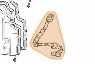 Wire Harness, JF506E (Mazda) External (17 1/2” Long)… — Part # 183445B