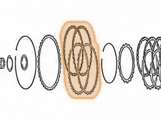 Friction, JF506E (All) Reverse Clutch (.063”) 32 Teeth (6 1/8”OD) 2002-Up — Part # 183110A