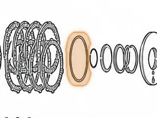 Cushion, AS/CA/L4/P1 (110mm) (Sets On Piston) — Part # 60850B