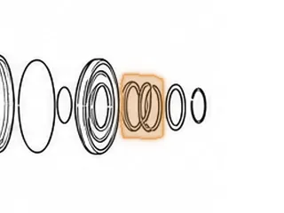 Spring, AK/AS/F4/K4/CA/P1/L4/G4/L5/PL5X Low/3rd/4th Clutch — Part # 60972C