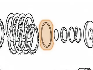 Cushion, MPWA (Vigor) Low / 2nd, 3rd / 4th And Low Hold Clutch (.078”) — Part # 70850CB