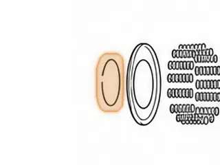 Snap Ring, Aluminum Powerglide Reverse Piston — Part # 103893