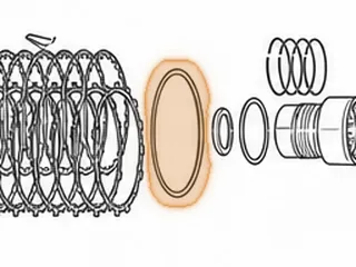 Cushion Spring, RL4R01A/RE4R01A Low/Reverse Clutch — Part # 73857