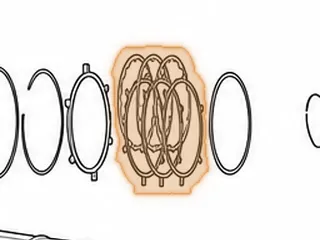 Friction, EC8 Overrun Clutch (.060”) 30 Teeth (5 7/8”OD) 1999-Up (The 2nd Set From Pump) In High/Overrun Drum — Part # 23116E