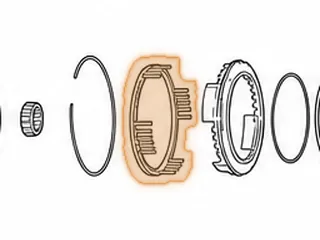 Springs W/Retainer, RL4F04A/JF403E/4F20E Low/Reverse Clutch Return — Part # 83977B