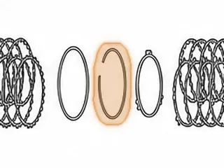 Snap Ring, RL4F03A Holds Overrun Pressure Plate In — Part # 83863A