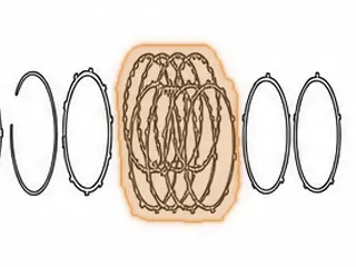 Steel, RL4F03A/RL4F03V Low/Reverse Clutch (.079”) 10 Teeth (5.470”ID) 1991-Up — Part # 83134A