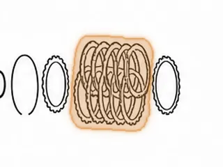 Steel, RE7R01A C3 Low/Reverse Clutch (24 Teeth)(3.739”ID) (.095”Thick) 2008-Up — Part # 283123A