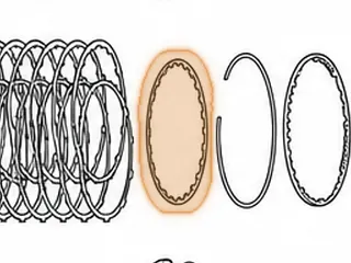 Beveled Spring, RL4F02A/RE4F02A Low/Reverse Clutch (.078”) 24 Teeth — Part # 93857
