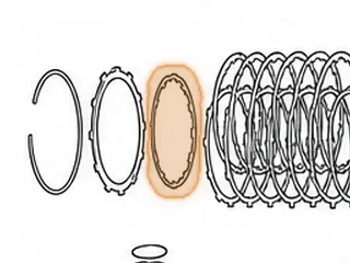 Cushion Spring, RL4F02A/RE4F02A Low Clutch (Between Pressure Plate & 1st Steel) — Part # 93853