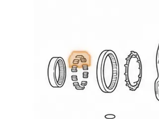 Sprag, A727/A518/A618/48RE Rear (14 Rollers With Plastic Cage) 1991-Up — Part # 22654A