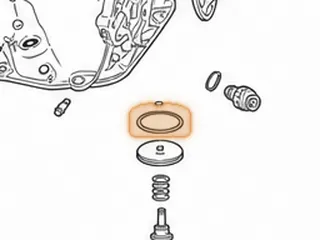 Lip Seal, A618/48RE Reverse Servo (2.479”OD) (Viton)(Orange) — Part # 22363B