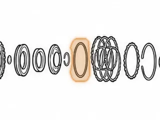 Cushion, TR580 Forward (Beveled)(4.860”OD)(.120”Tall)(.077”Thick) 2010-Up — Part # 163858A