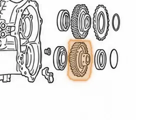 Gear, TR690 Driven Transfer (37 Teeth Left Angle)(2.555”Thick)(8 Holes) 2009-Up — Part # 353713A