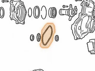 Chain, TR690 Pump Drive (29 Links)(.323 At Pins)(.205 Between Pins Wide) 2009-Up — Part # 353525A