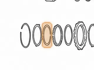 Sprag, U240/U241/U250 Underdrive (15 Elements) (With Brass Caps) 1999-Up — Part # 167650D